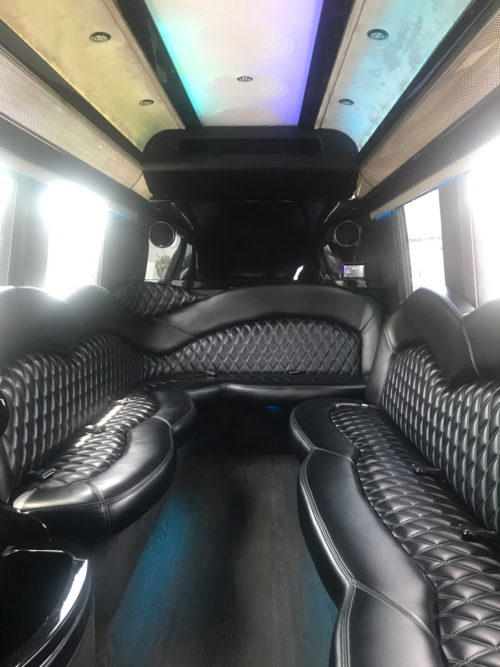 Image of interior of limo